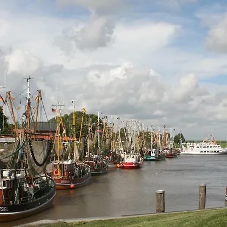 公寓 Haus Pilsumer Deichblick Krummhörn